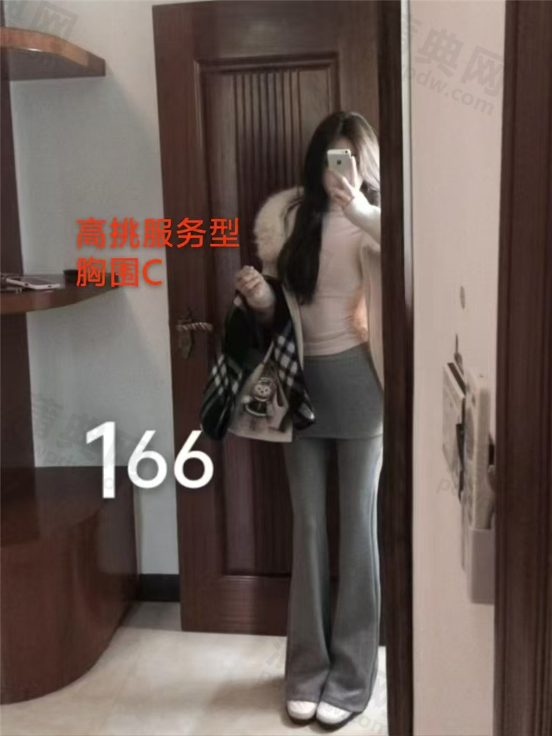 银辰SPA166