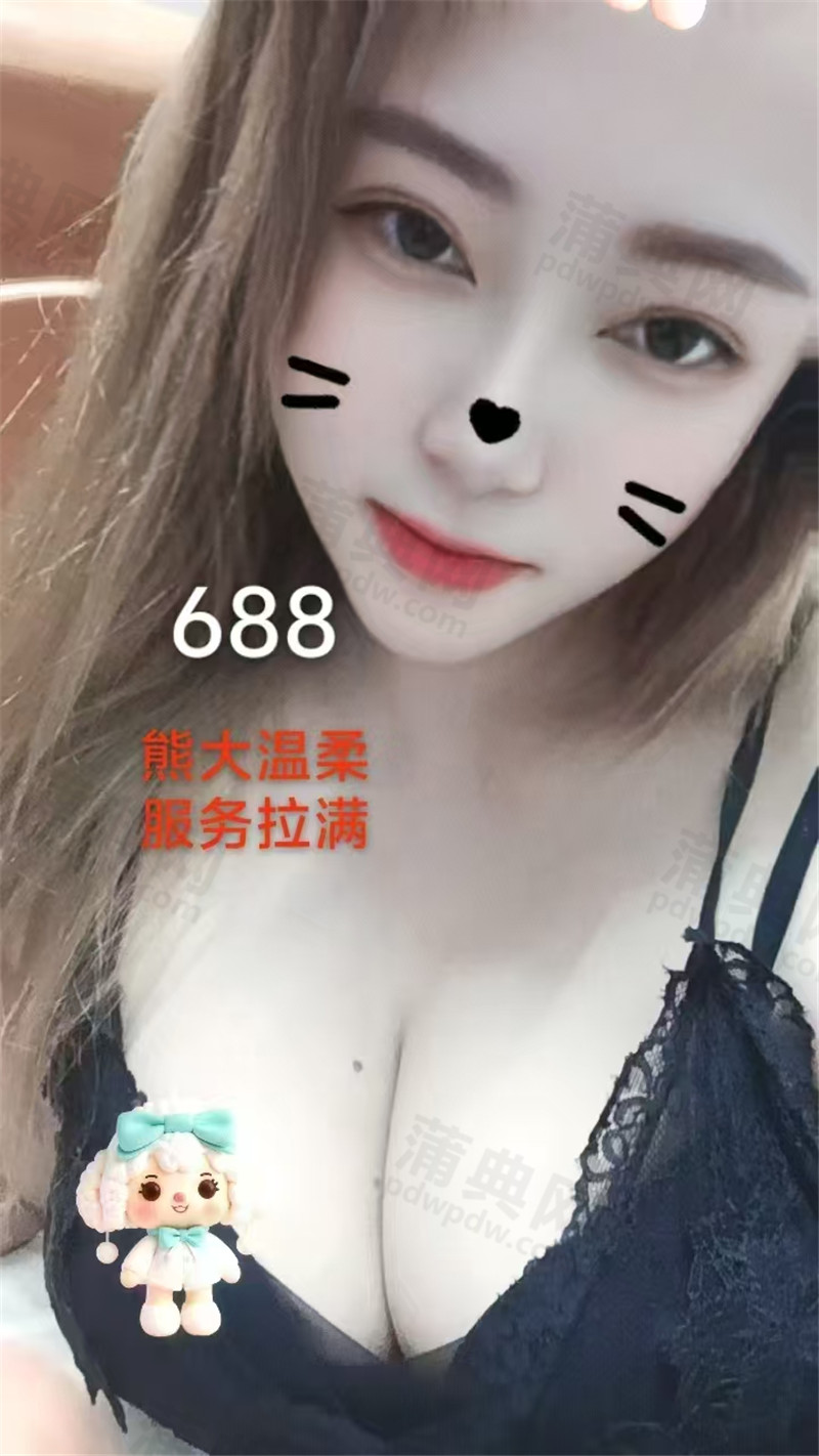 银辰SPA688